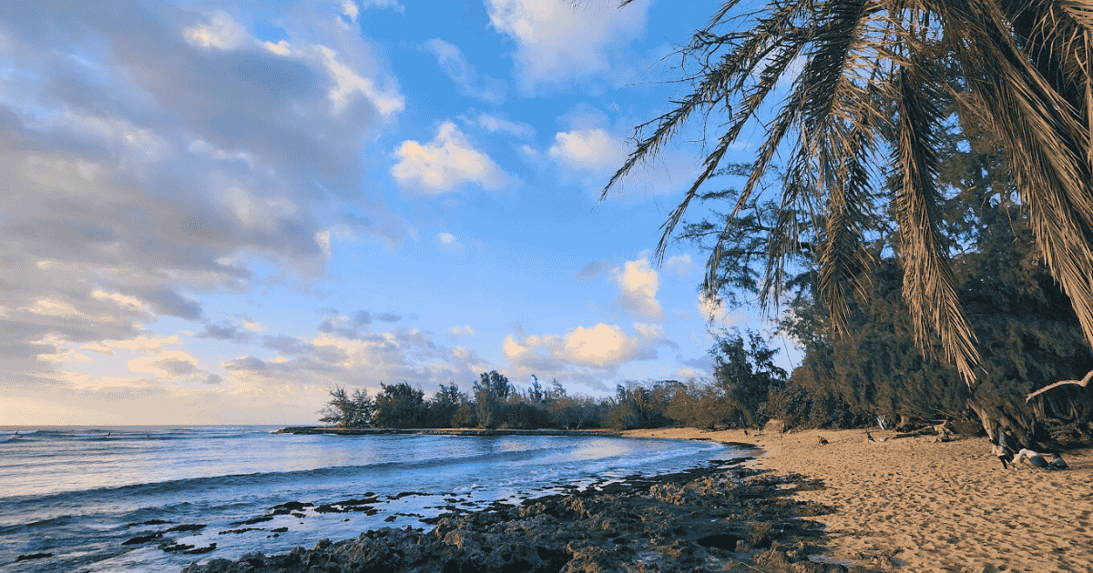 Best Beginner Surf Spot Oahu Pua'ena Point Beach Park 